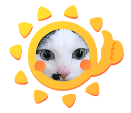 765529472