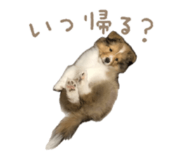 765530545