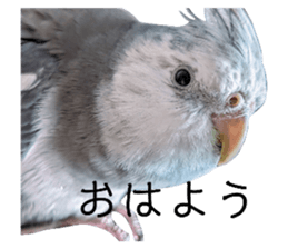 765558553