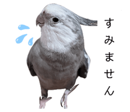 765558563