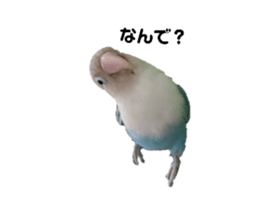 765558571