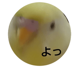 765561363