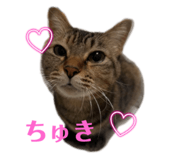 765561537