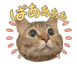 765561538