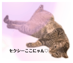 765561547