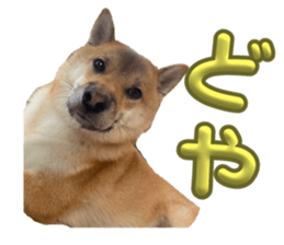 765562304