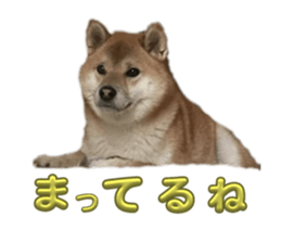765562306