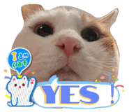 765570779