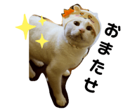 765570780