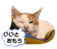 765570781