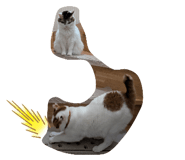 765570784