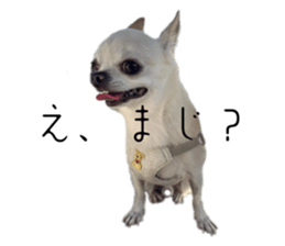 765577547
