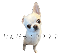 765577548
