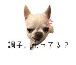 765577550
