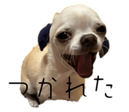 765577552