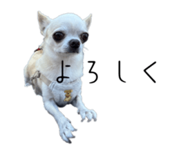 765577554