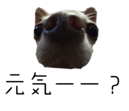 765577555
