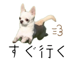 765577556