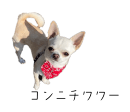 765577560