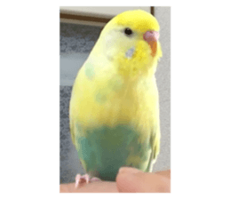 765579183