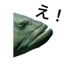 765580825