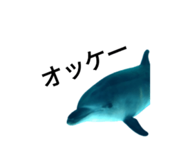 765580826