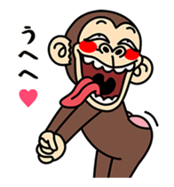 76558133