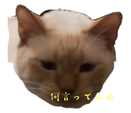 765583540