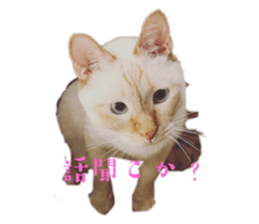 765583545