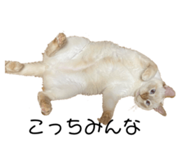 765583558