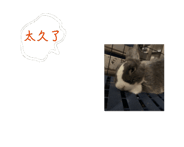 765584300