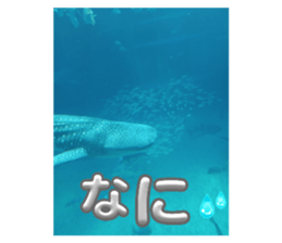 765587248
