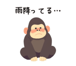 765588433