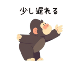765588443