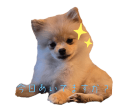 765591297