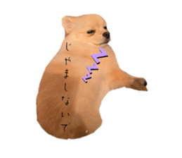 765591298