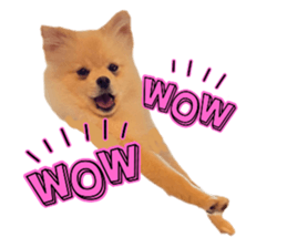 765591310