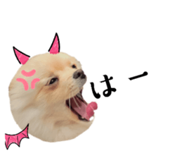 765591316