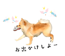 765591319