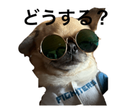 765592444