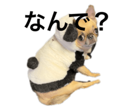 765592446