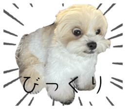 765593234