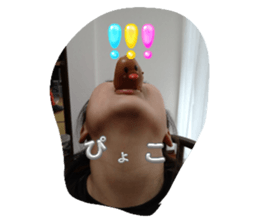 765594001
