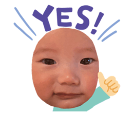 765594081