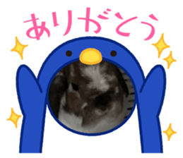 765594609