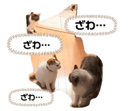 765597194