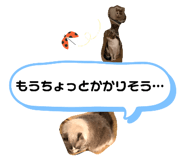 765597196