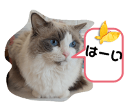 765597200