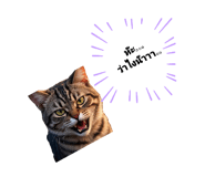 765600804