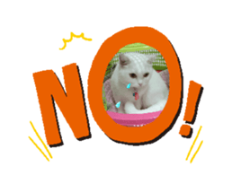765601823